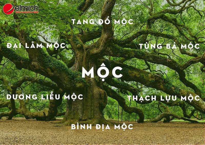 Hình 2: Các cung nạp trong mệnh Mộc