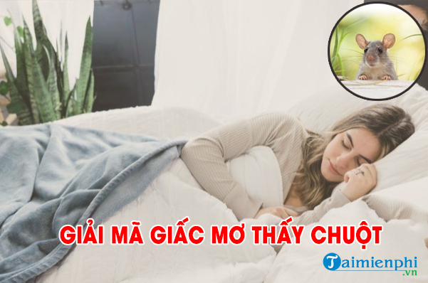 Mơ thấy chuột là dấu hiệu gì? Nên chọn con số nào?