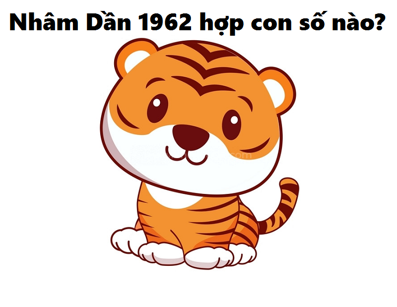 1962 hợp con số nào?