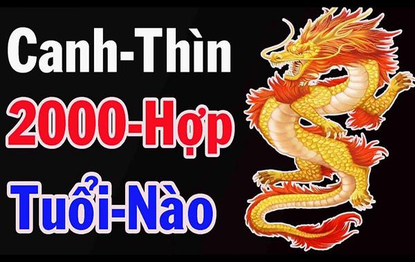 Sinh năm 2000 tuổi gì