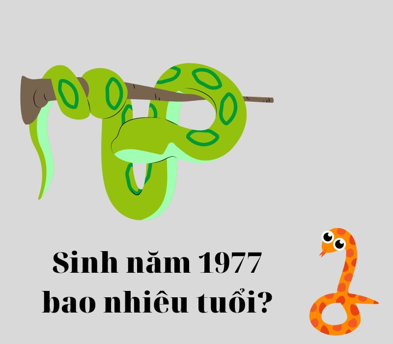 1977 bao nhiêu tuổi