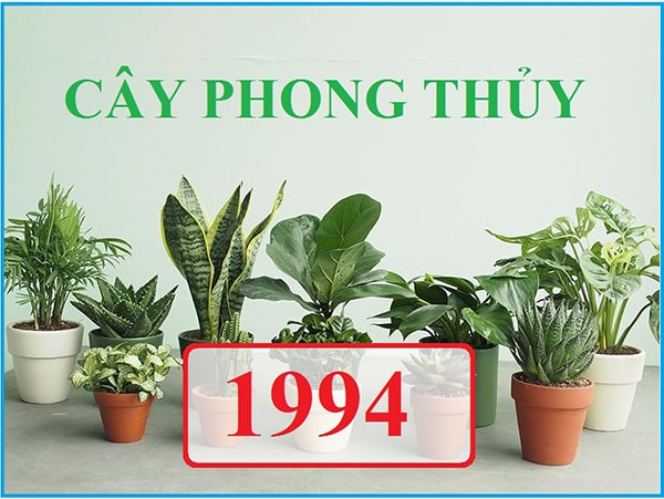 Lựa chọn bàn làm việc cho nữ tuổi Giáp Tuất 1994