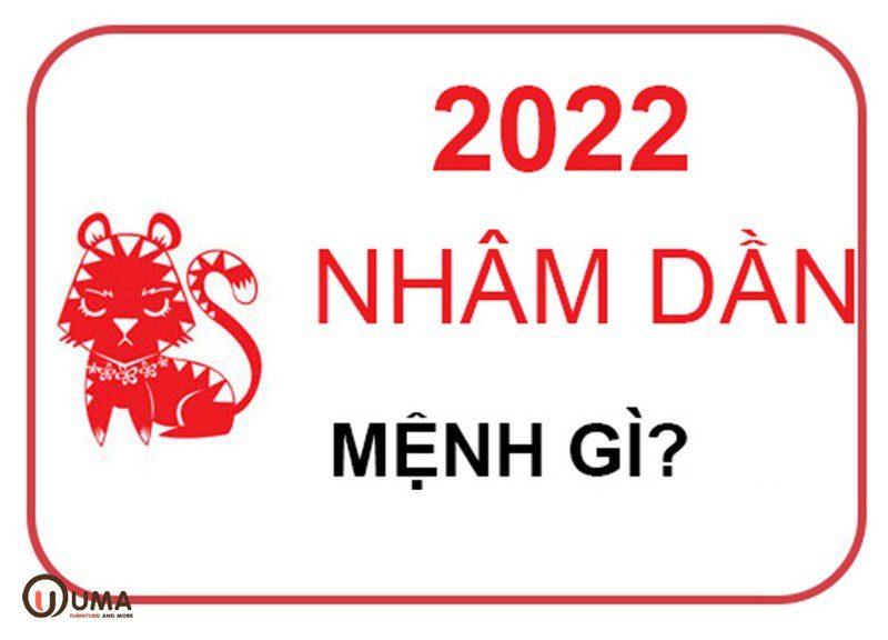 Năm 2022 mệnh gì?