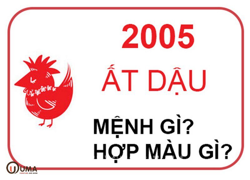 Năm 2005 hợp màu gì?