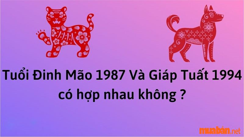 Nữ 1994 lấy chồng tuổi nào hợp - Nam Đinh mão