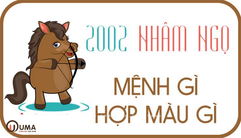 Sinh năm 2002 hợp màu gì?