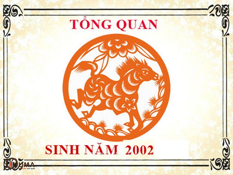 Sinh năm 2002 hợp những hướng nào?