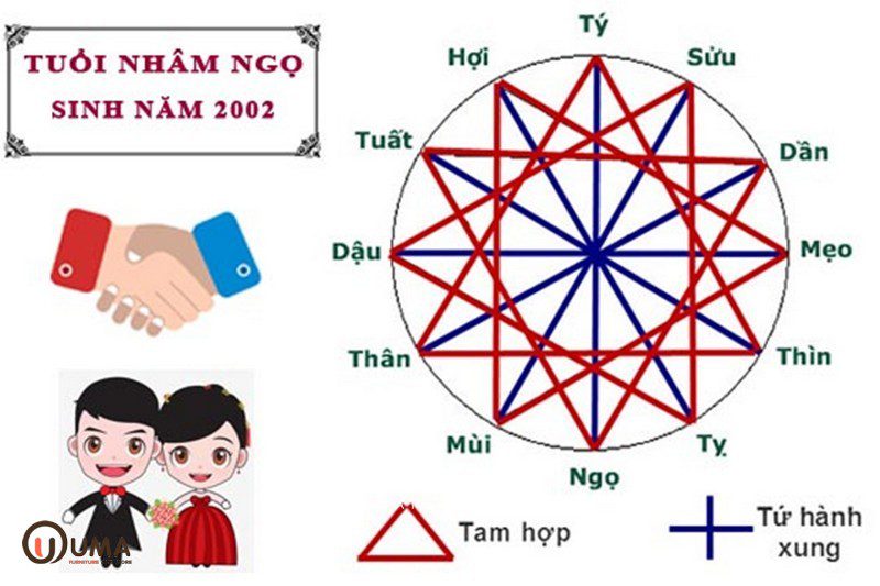 Sinh năm 2002 hợp làm ăn, kết hôn với những tuổi nào?