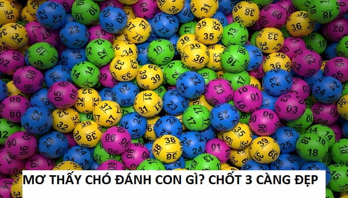 mơ con chó đánh con gì