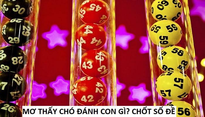 nằm mơ thấy chó đánh con gì