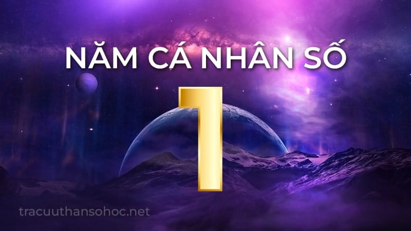 Năm Cá Nhân Số 1 Thần Số Học 2023