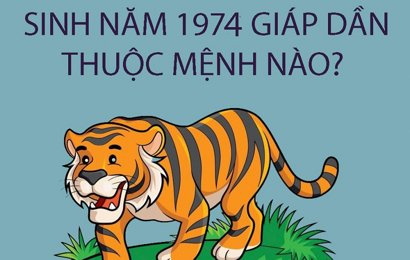 Người sinh 1974 mệnh gì?