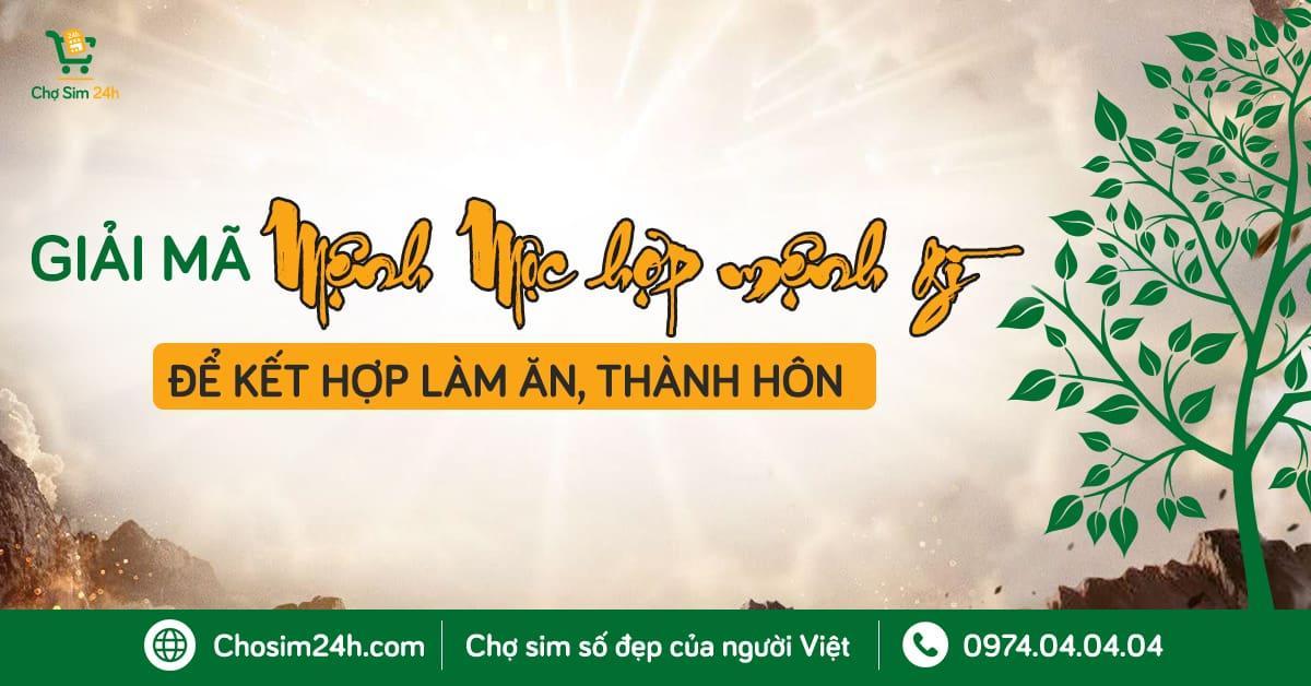 mệnh mộc hợp mệnh gì