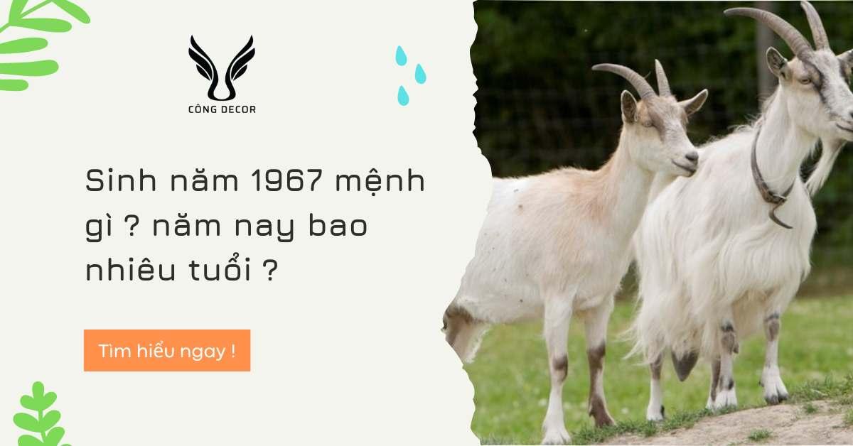 Sinh năm 1967 mệnh gì năm nay bao nhiêu tuổi