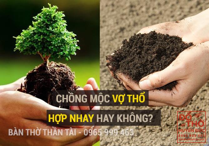 Đặc điểm của chồng mệnh Mộc vợ mệnh Thổ