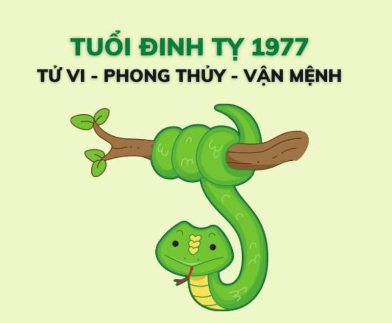 sinh năm ``977 bao nhiêu tuổi