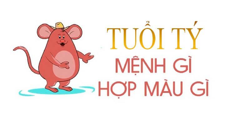 Tuổi tý mệnh gì?