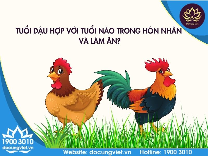 Tuổi Dậu hợp với tuổi nào khi kết hôn và làm ăn?