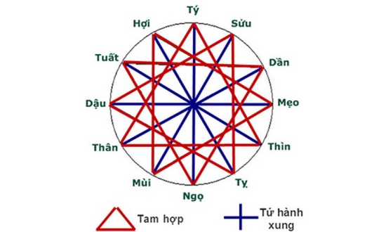 1956 hợp tuổi nào