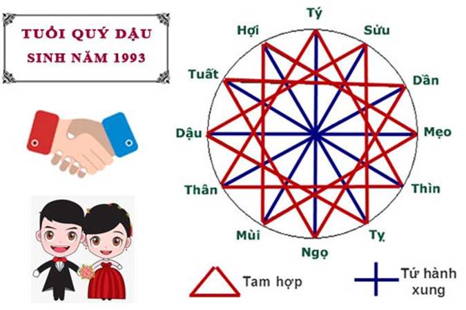 Sinh năm 1993 hợp tuổi gì