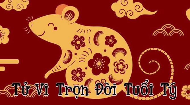 tử vi trọn đời tuổi tý